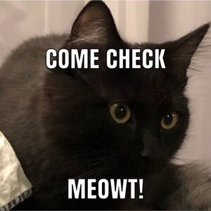 Meeeeooooow